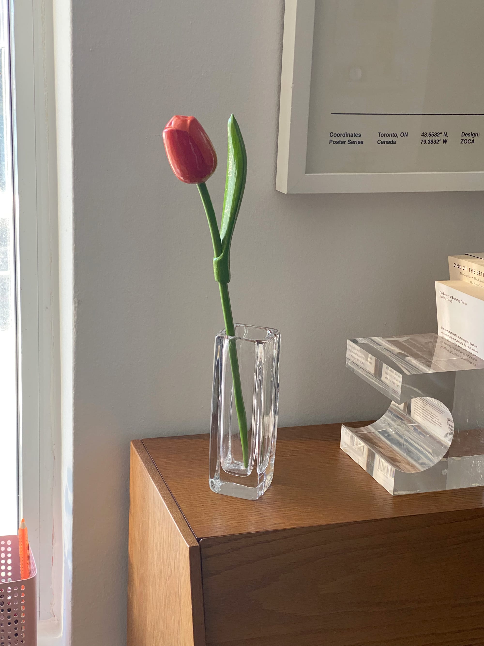 Decorative red tulip in a slender glass vase.