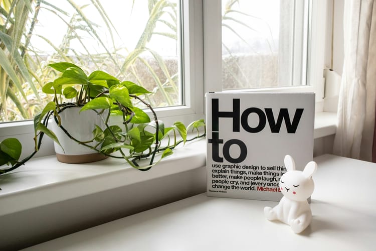 Arrangement by a windowsill with a plant, a cartoon bunny figurine, and a large coffee table book called "How to".