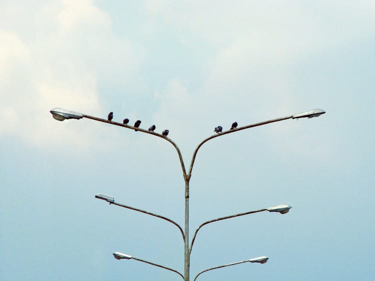 In praise of asymmetry