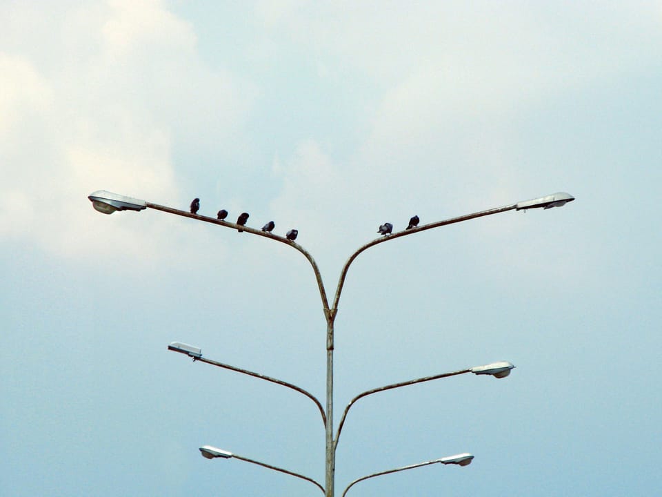 In praise of asymmetry