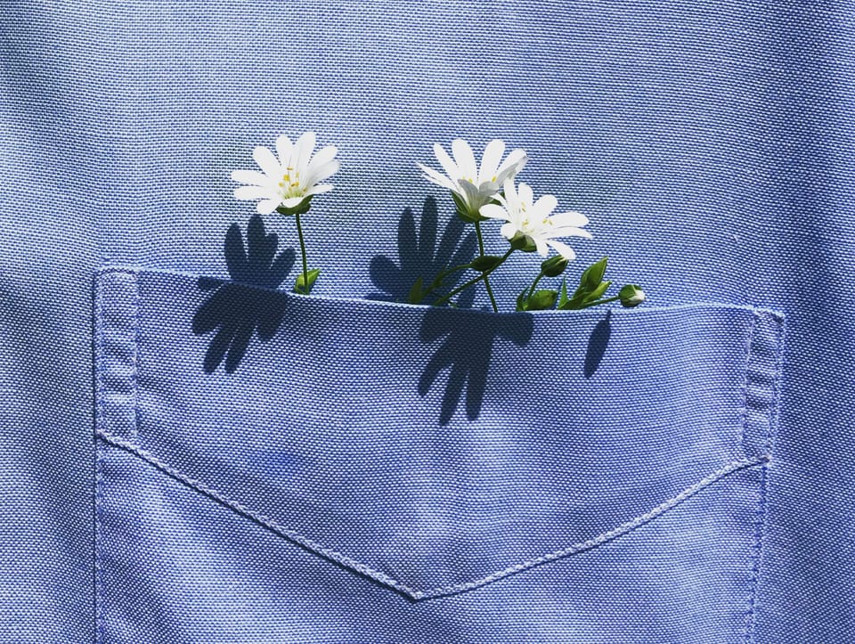 Close-up of a shirt pocket with little flowers peeking out of it.